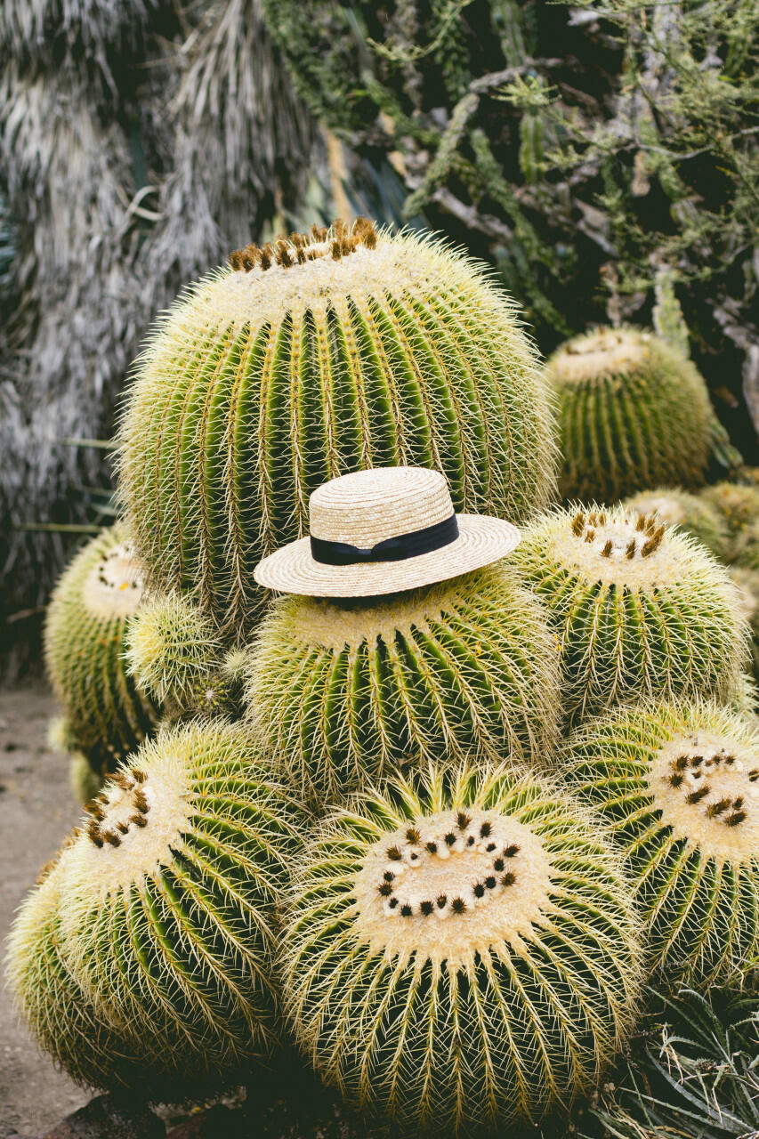 Lack of Color Spencer Boater Hat cactus