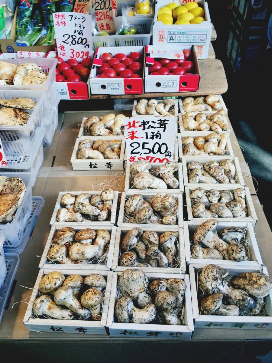Mushrooms in Tokyo Tsukiji Fish Market Tokyo Japan