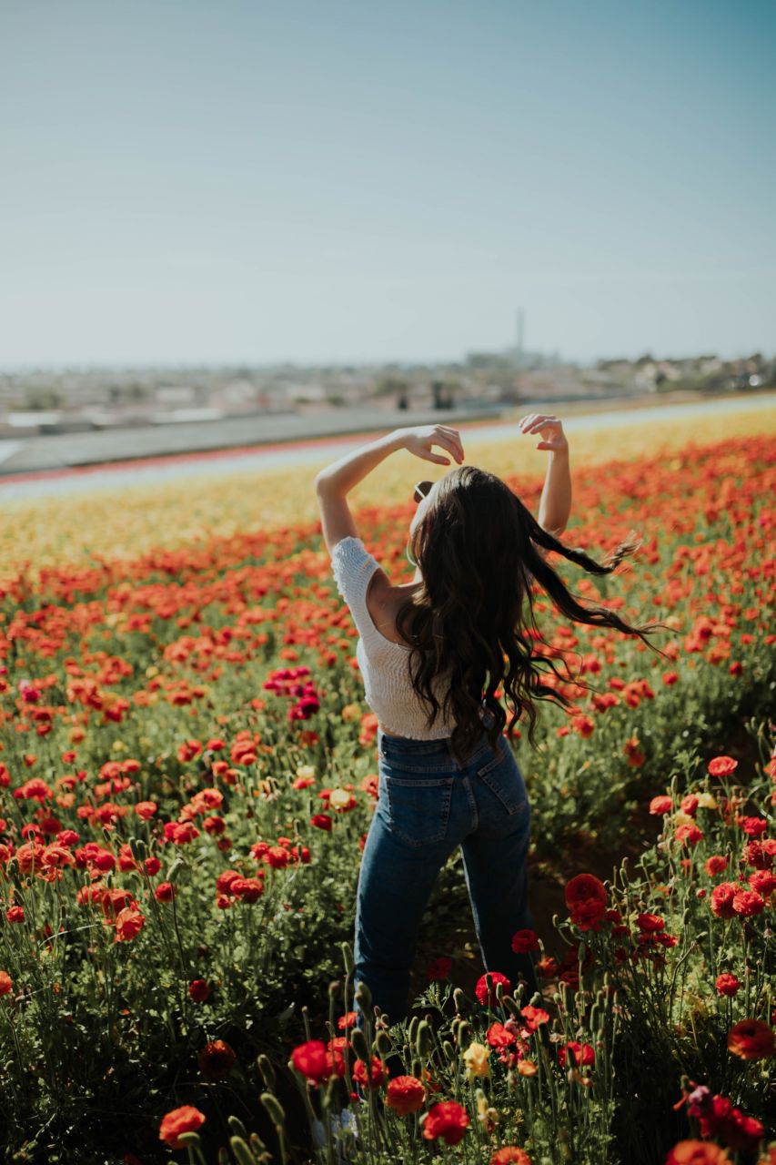 The Most Instagram Worthy Spot San Diego in Spring: Carlsbad Flower Fields