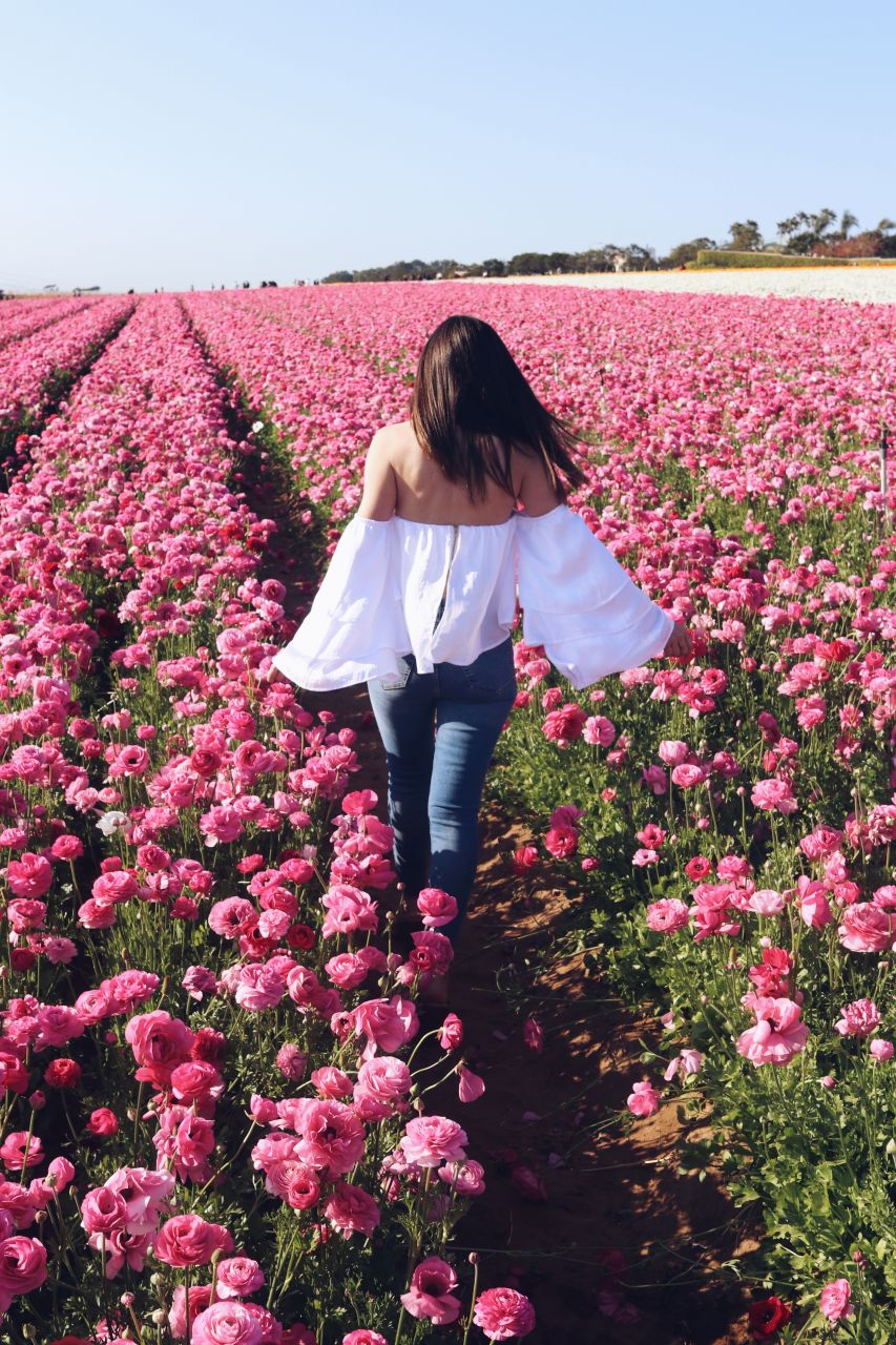 Instagram Worthy San Diego: Spring is blooming at the Carlsbad Flower Fields